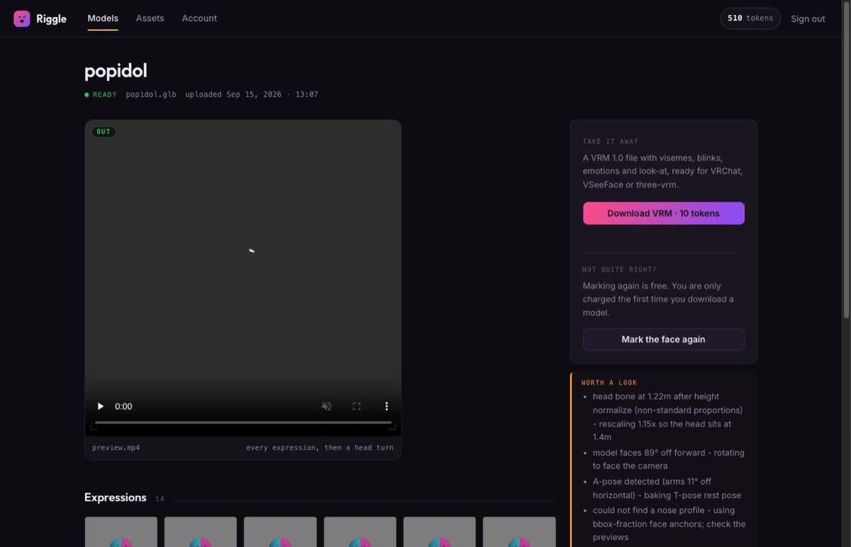 A finished avatar in Riggle: a preview video of every expression, the download button, and a list of the corrections made during conversion.